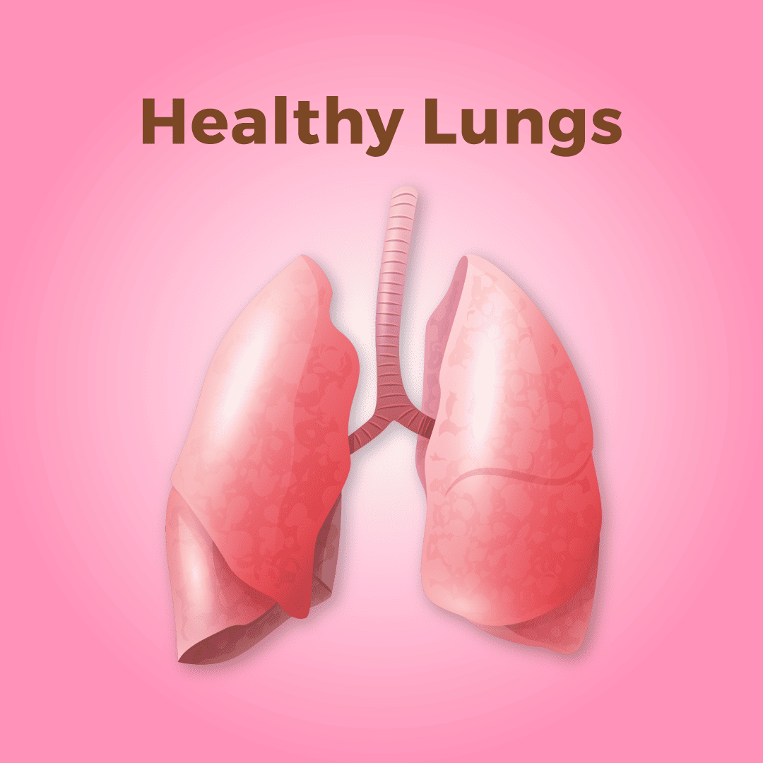 Healthy Lungs