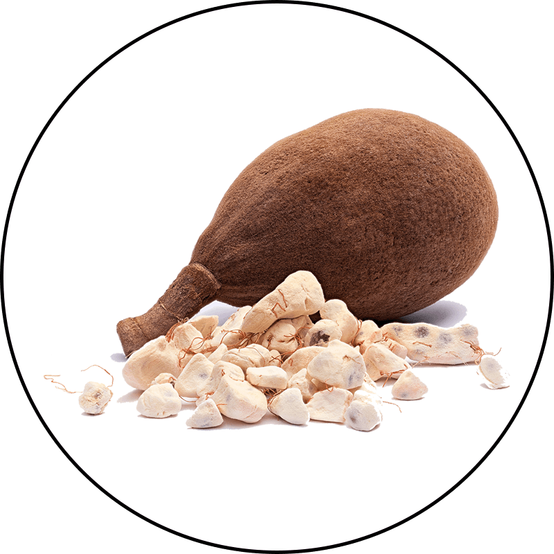 Baobab Fruit Powder