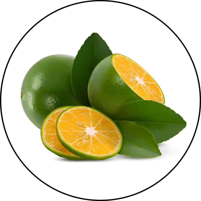 Calamansi