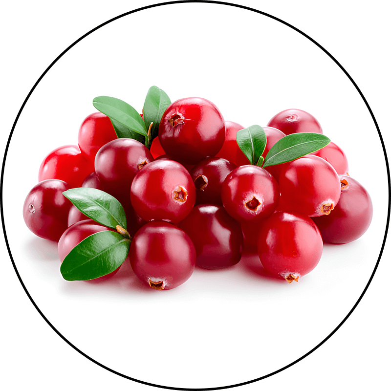 Cranberry and Vitamins D3 and E