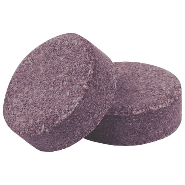 Elderberry Pills
