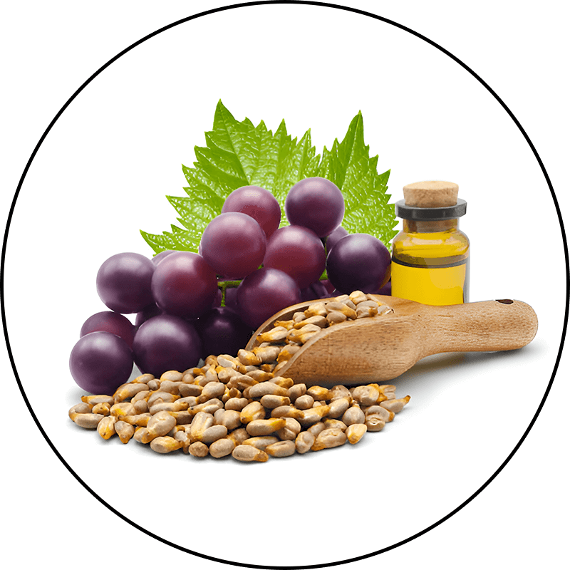 Grape Seed Extract