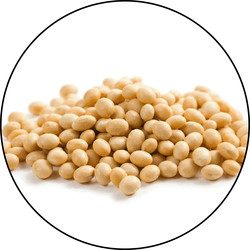 Isolate Soy Protein
