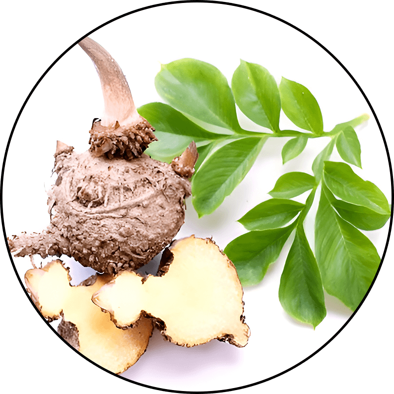 Konjac Powder