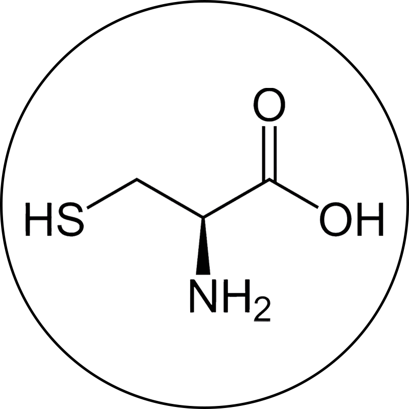L-Cysteine
