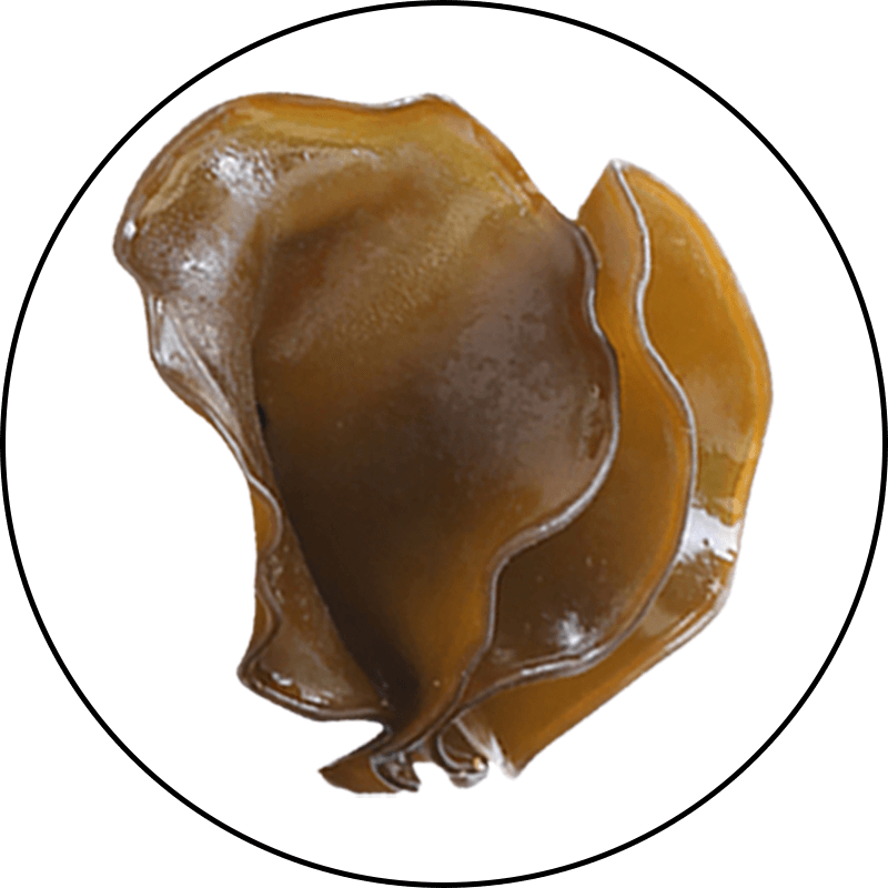 Maritech Organic Fucoidan - Mekabu Seaweed