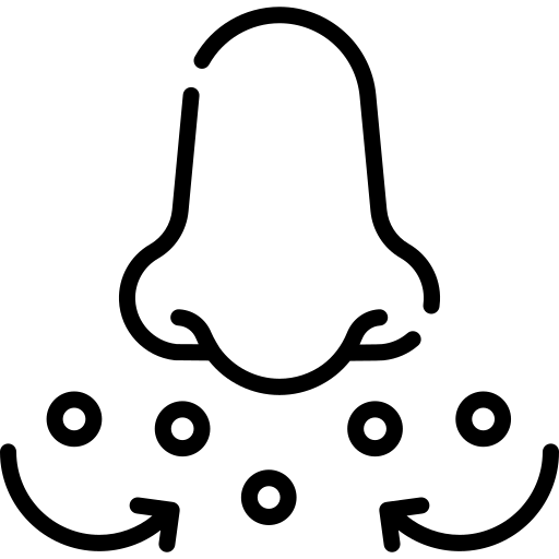 Nasal Sensitivity