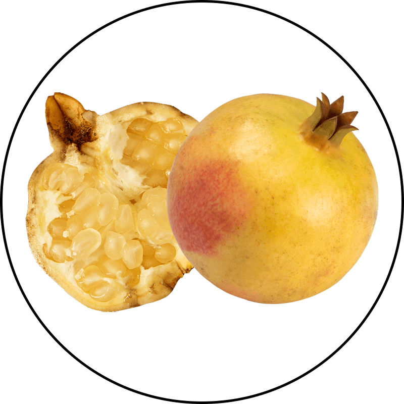 Pomewhite White Pomegranate
