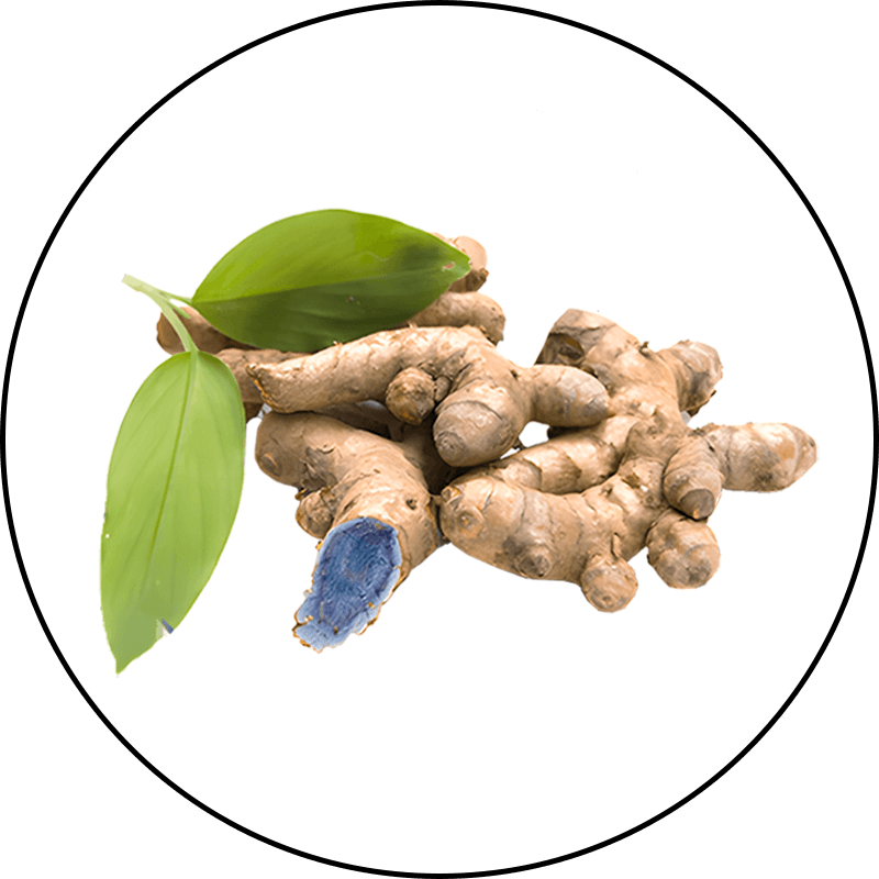 Sirtmax Black Turmeric Extract