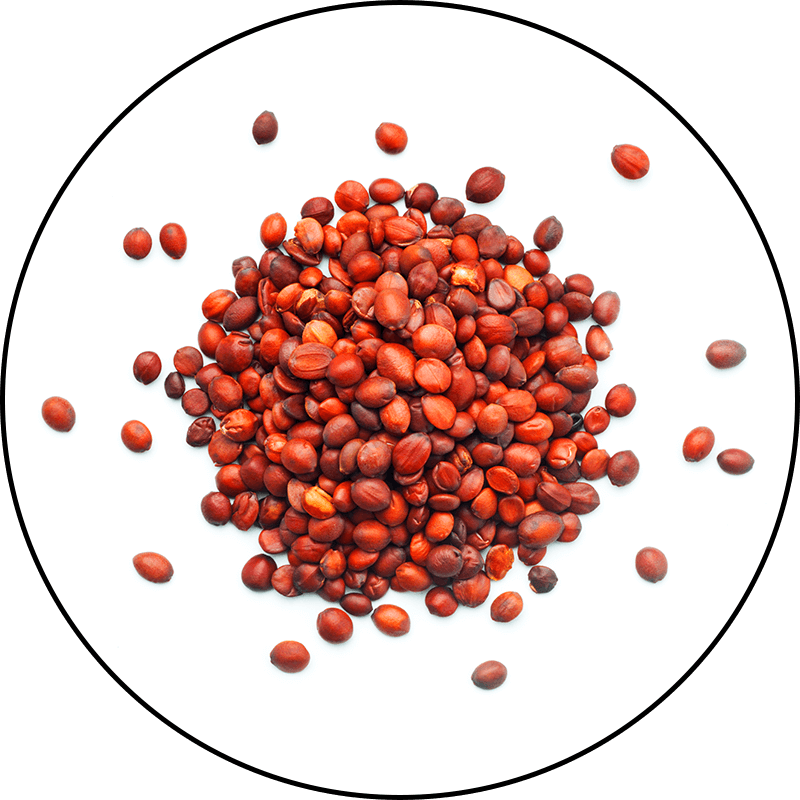 Sour Date Seed Extract Sour Date Seed Extract