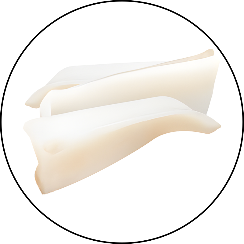 Type 2 Collagen