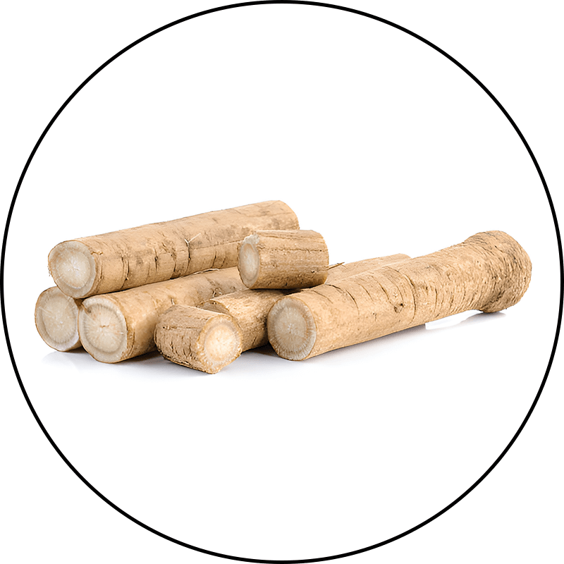 Burdock Root