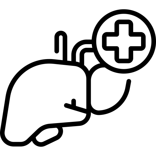 Liver Detoxification Process