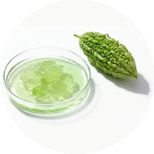 Bitter Melon Extract