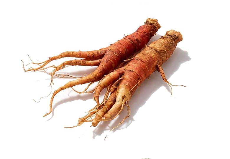 Ginseng